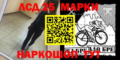 стаф Камышлов