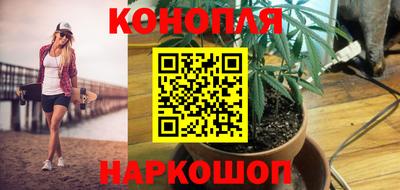 apvp Канаш