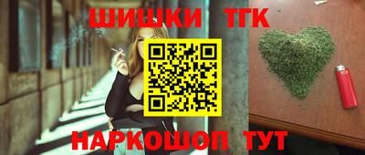 стаф Камышлов