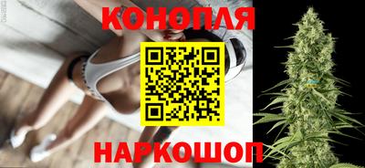 apvp Канаш