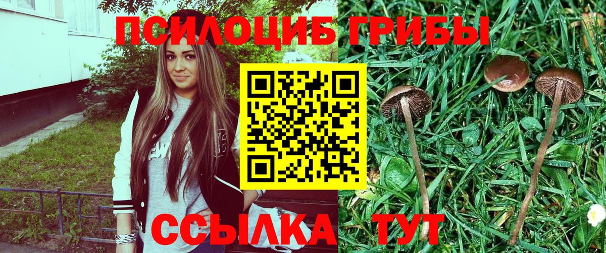 Кушва  Галлюциногенные грибы MAGIC MUSHROOMS  Вход с VPN  Псилоцибиновые грибы Psilocybine cubensis 
